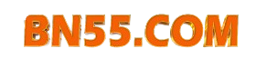 BN55